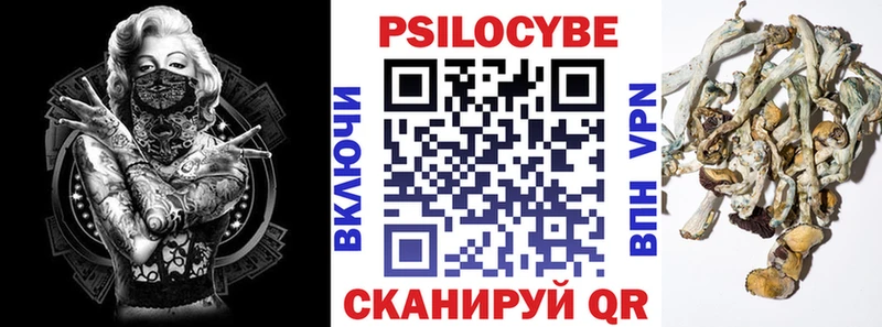 сколько стоит  мега ТОР  Псилоцибиновые грибы Psilocybe  Артёмовский 