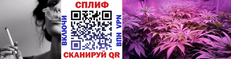 дарнет шоп  Артёмовский  Бошки Шишки тримм 